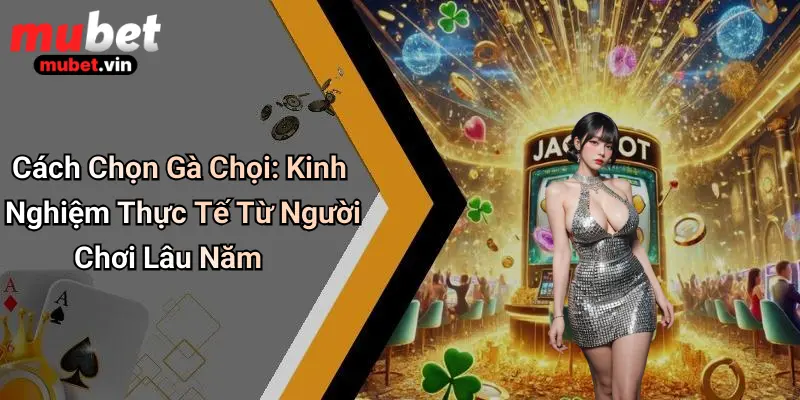 Cách Chọn Gà Chọi: Kinh Nghiệm Thực Tế Từ Người Chơi Lâu Năm